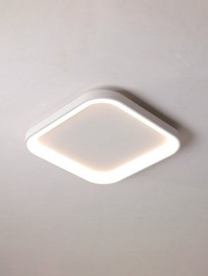 WhatsApp Image 2025-02-20 at 13.50.17