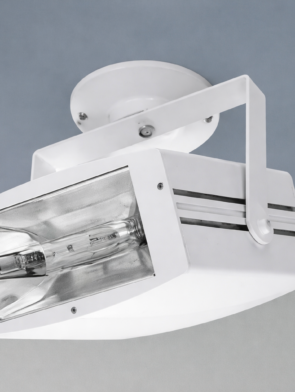 ChatGPT Image 10 de fev. de 2026, 15_53_45