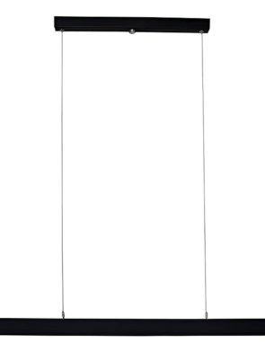 WhatsApp Image 2026-03-10 at 17.45.37