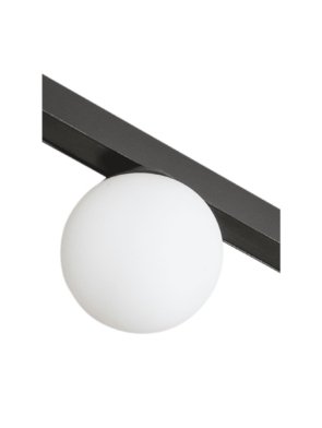 WhatsApp Image 2026-03-11 at 14.27.29