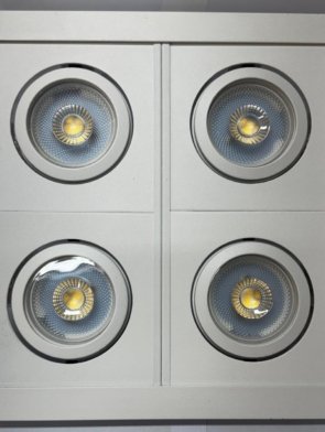 WhatsApp Image 2026-03-25 at 10.28.55