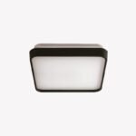 Plafon Black