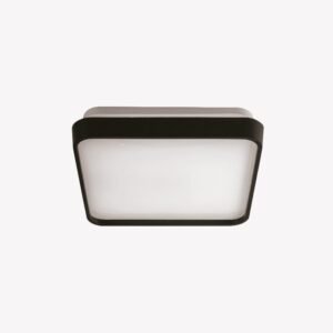 Plafon Black